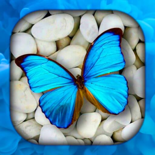 Приложения в Google Play – Бабочка Обои HD/3D/4K