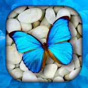  Butterfly Live Wallpaper | Butterflies Wallpapers 