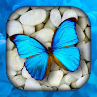 Butterfly Wallpaper Live HD-3D