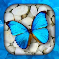 Butterfly Live Wallpaper | Бабочки Обои