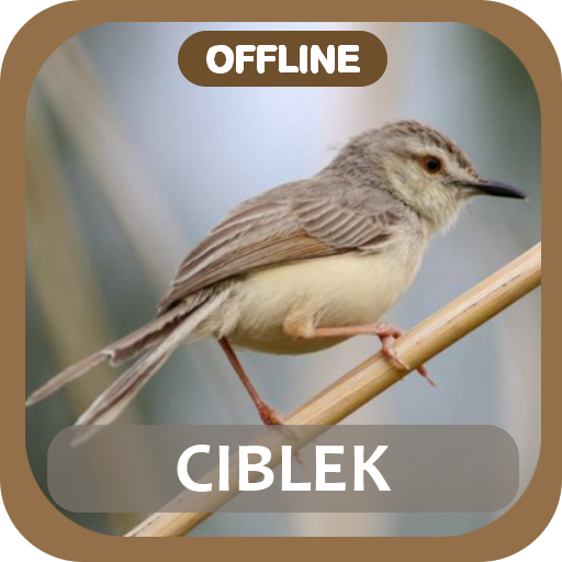 masteran ciblek juara offline logo