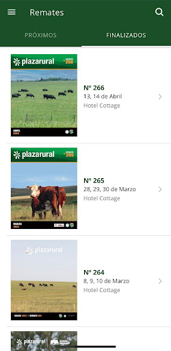 Plazarural Screen 2