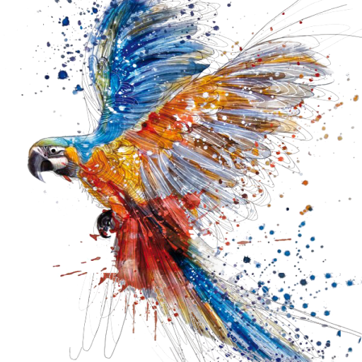 Colorize Photo & Video Editor – Apps on Google Play