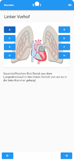 Körperlehre Screen 2