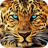 Leopard with blue eyes LWP icon