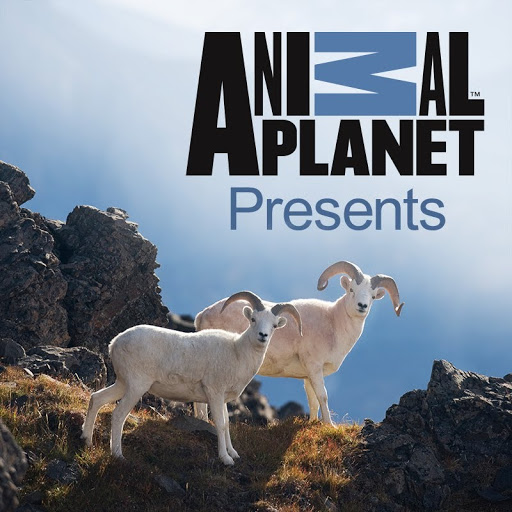 Animal Planet Presents - TV on Google Play