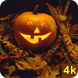 Halloween Wallpapers 4K icon