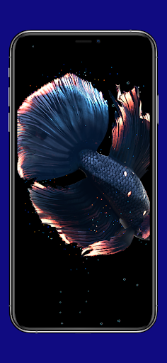 Android application Aquarium Betta Fish Wallpaper screenshort