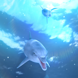 Dolphin Blue Ocean icon