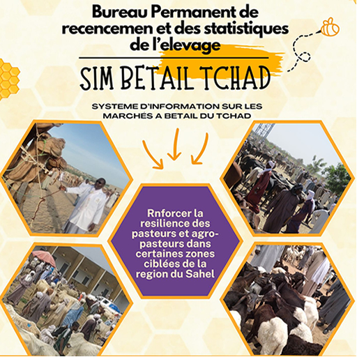 Le SIM2G au Tchad Windows에서 다운로드