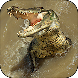 Crocodile Wallpapers icon
