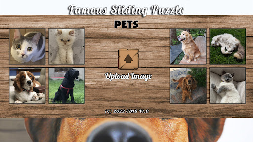 Famous Sliding Puzzle: Pets Screen 2