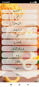 Fastfood Recipes Urdu: Offline
