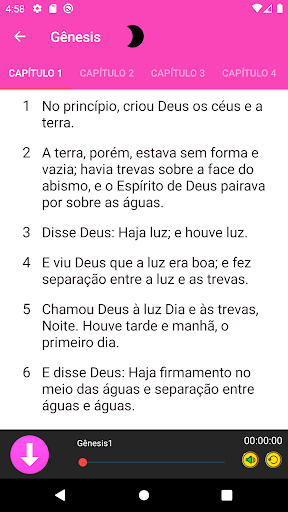 bíblia para mulheres + áudio Screen 3