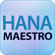 HANA MAESTRO ( 하나마에스트로 )