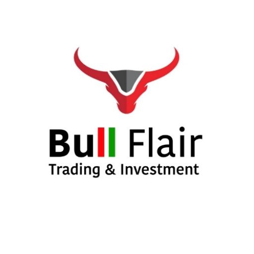 Bull Flair Academy logo