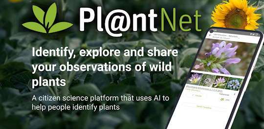 Pl@ntNet Pflanzenbestimmung