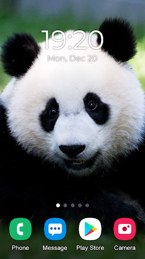 Animal Wallpaper 2023 Screen 3