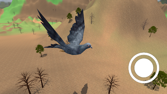 Pigeon bird flying sim game 3d 3