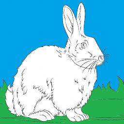 Color Images