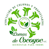 Colonos Cocoyoc icon