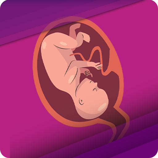 Pregnancy in Islam  Icon