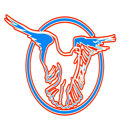 STHEYA APP logo