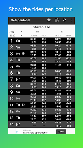 Vista previa de la aplicación