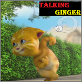 New TALKING GINGER Tips icon