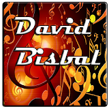 David Bisbal Musica icon