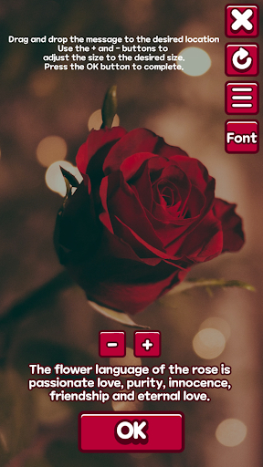 Rose Gift Screen 3