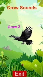 Real Crow Sounds 3D Simulator