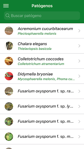 Android application IFAPA Guía Hongos screenshort