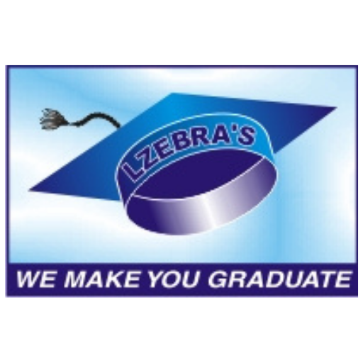 LZEBRA GROUP logo