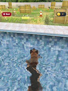 My Dog (Dog Simulator) 2.0.2 APK screenshots 19