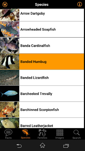 Marine Fish ID Maldives Screen 3