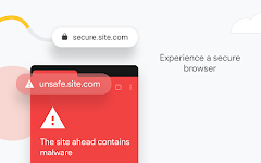 Google Chrome: Fast & Secure Screenshot 12