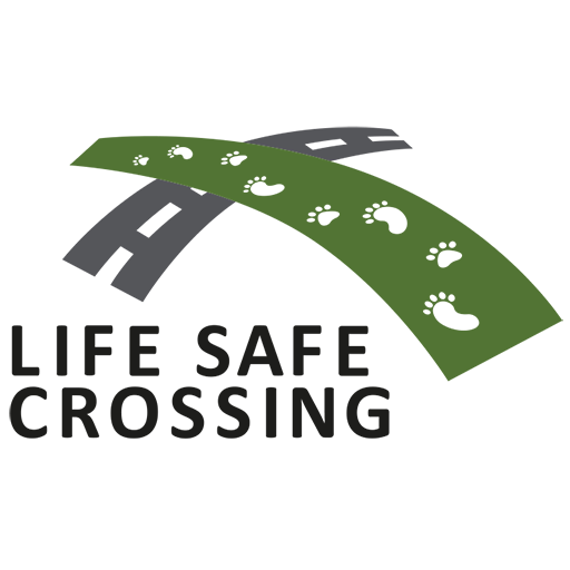 Life is safe. Safe Life. Safe Cross code. No safe for Life. Not safe for Life.