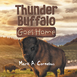 Obraz ikony: Thunder Buffalo Goes Home