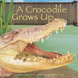 Obraz ikony: A Crocodile Grows Up