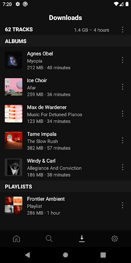 Screenshot of Plexamp