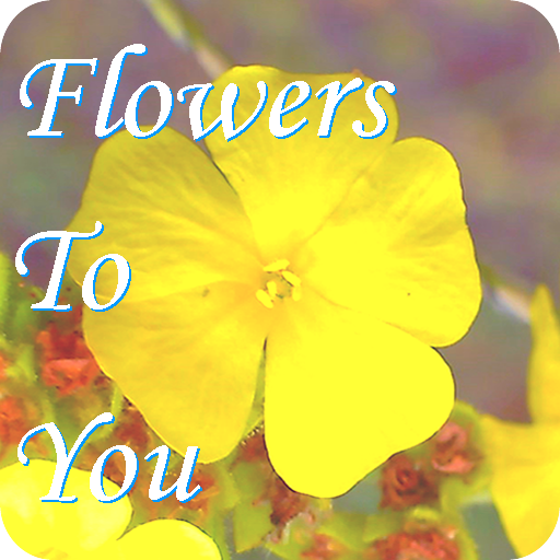 Flowers to You  Icon
