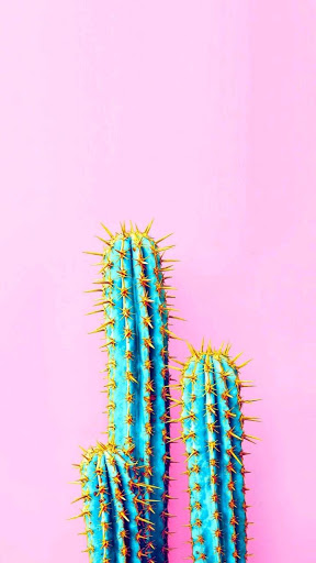 Cactus Wallpaper HD