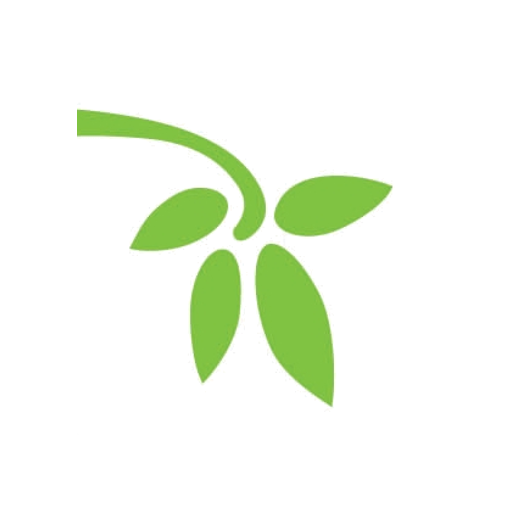Grace Chapel Lockport logo