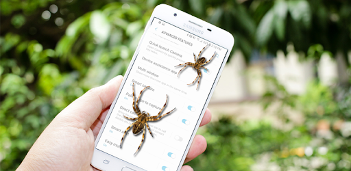 Spider Filter App