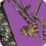 Mossy Oak Purple Theme icon