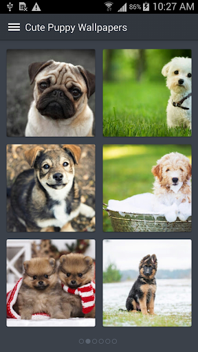 Cute Puppy Wallpapers Screen 3