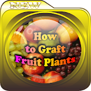 How to Graft Fruit Plants