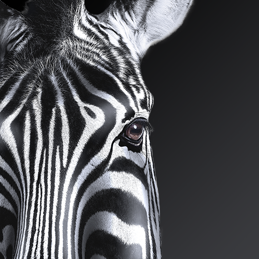 Investec Business Banking logo