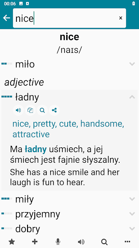 Polish - English Screen 2